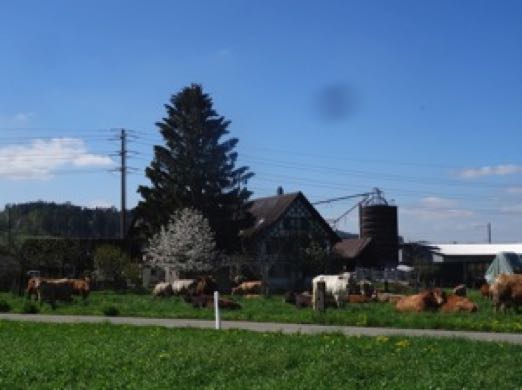 DSC06727