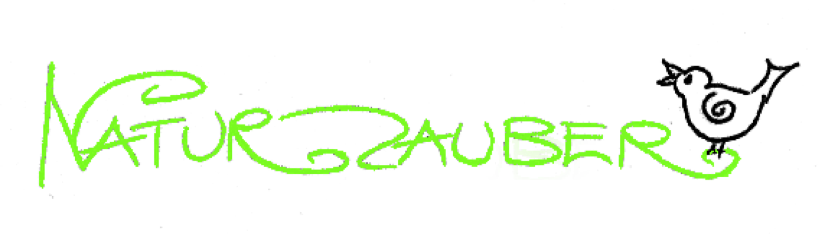 Schrift_2_1